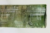 Green Elbaite Tourmaline Crystal - Urubu Mine, Brazil #175535-2